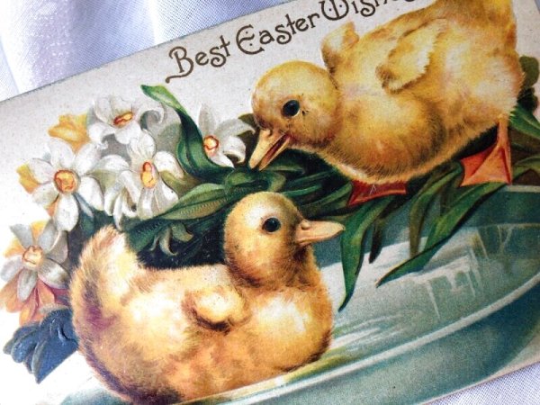 画像2: Postcard　アンティークポストカード　イースター　アヒルの子とスイセンのお花　 (2)