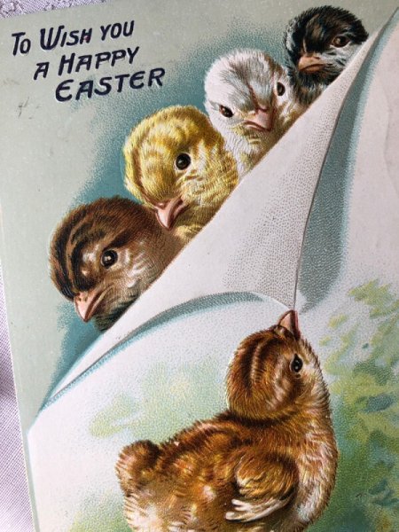 画像2: Postcard　アンティークポストカード　イースター　5羽のヒヨコたち　1908年 (2)