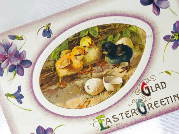 画像2: Postcard　アンティークポストカード　イースター　ヒヨコ　ひよこ　スミレのお花 (2)