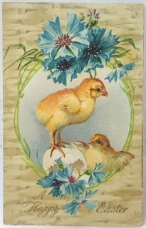 早割クーポン！ Snowdrop Chick < アンティークポストカード専門店 Postcards コレクション