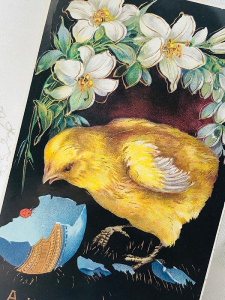 画像2: Postcard　アンティークポストカード　イースター　ヒヨコとテントウムシ　白百合のお花 (2)