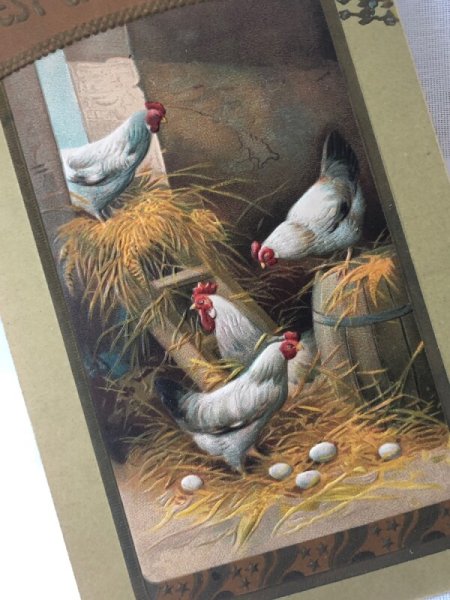 画像2: Postcard アンティークポストカード イースター ニワトリと卵 (2)