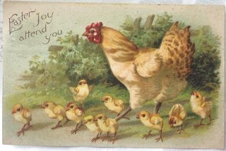 O42 北欧ヴィンテージ　アンティーク　レトロな絵葉書　ひよこ　動物 Snowdrop Postcards アンティークポストカード専門店