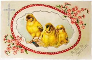 Snowdrop Postcards アンティークポストカード専門店 < Chick Snowdrop Postcards アンティークポストカード専門店 < Chick