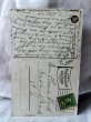 画像3: Postcard　アンティークポストカード　緑色のドア  Jessie Willcox Smith　1912年 (3)