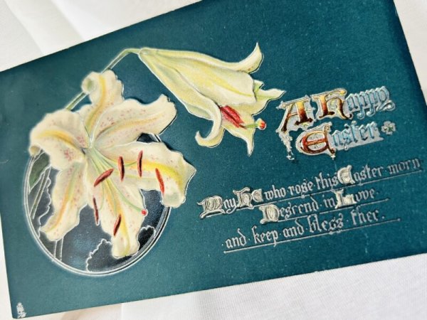画像2: Postcard   アンティークポストカード 白百合のお花  (2)