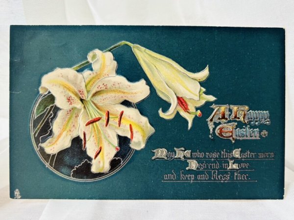 画像1: Postcard  　アンティークポストカード　白百合のお花　 (1)