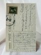 画像3: Postcard  　アンティークポストカード　イースター　白百合のお花　1912年 (3)