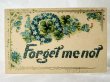 画像1: Postcard  　アンティークポストカード　　忘れな草のお花 Forget me not (1)