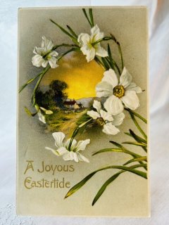 Snowdrop Postcards アンティークポストカード専門店 < Other