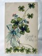 画像1: Postcard  　アンティークポストカード　　忘れな草のお花と四つ葉のクローバー　1906年 (1)