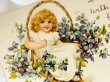 画像2: Postcard  アンティークポストカード　スミレのお花かごの中の女の子　パニエ　イギリス1903年　F.Brundage (2)