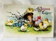 画像1: Postcard  アンティークポストカード　イースター　卵をとる女の子と生まれたてのヒヨコ　Ellen Clapsaddle　1910年 (1)