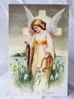 70726f647563742f32303233303332