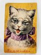 画像1: Postcard　アンティークポストカード　眼鏡の猫　This is so sudden  Arthur Thiele　1910年 (1)