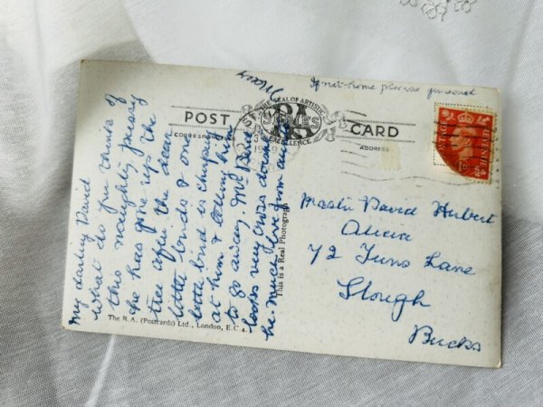 画像2: Postcard アンティークポストカード カラスの巣を覗く猫 Bestall  イギリス (2)