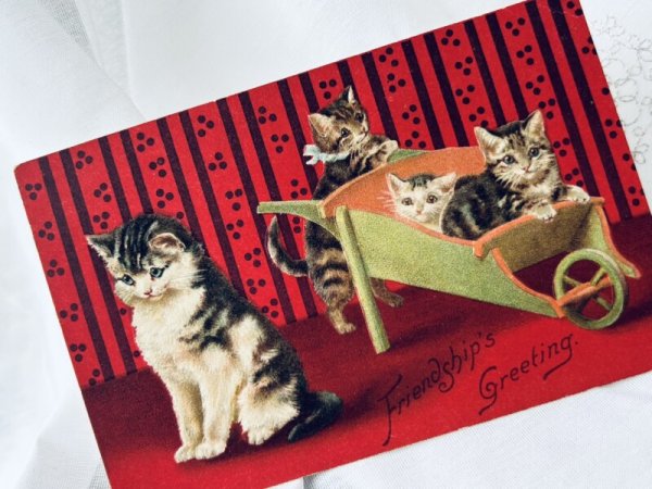 画像2: Postcard  　アンティークポストカード　 一輪車に乗る子猫たち　Helena Maguire  (2)