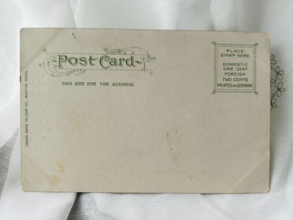 画像2: Postcard  　アンティークポストカード　猫とバイオリン　Helena Maguire　（未使用） (2)