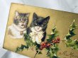 画像2: Postcard  　アンティークポストカード　クリスマス　2匹の猫たち　Helena Maguire　（未使用） (2)