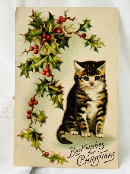 画像1: Postcard  　アンティークポストカード　クリスマス　キジトラの子猫　Helena Maguire　 (1)