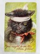 画像1: Postcard　アンティークポストカード　喧嘩をして怪我をした猫　You ought to see the other fellow  Arthur Thiele　1908年 (1)