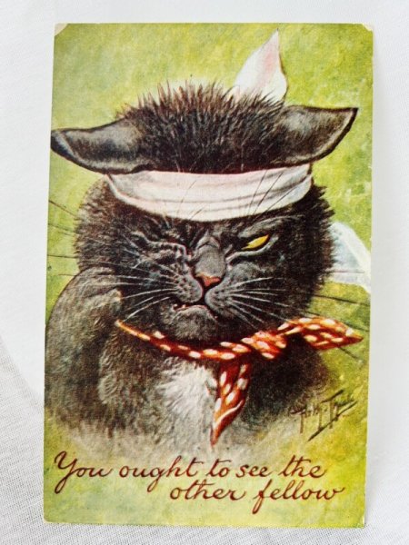 画像1: Postcard　アンティークポストカード　喧嘩をして怪我をした猫　You ought to see the other fellow  Arthur Thiele　1908年 (1)