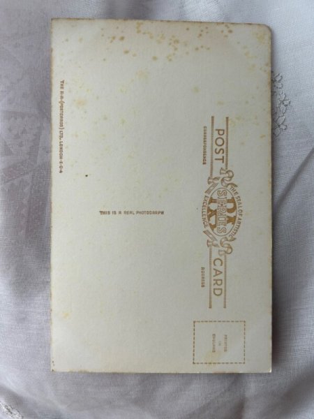 画像2: Postcard　アンティークポストカード　魚屋さんに魚を買いに来た猫のおばあさん　ブルドッグの魚屋さん　Bestall (未使用) (2)