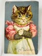 画像1: Postcard　アンティークポストカード　キジトラ猫の女の子　G.H.Thompson 1905年 (1)