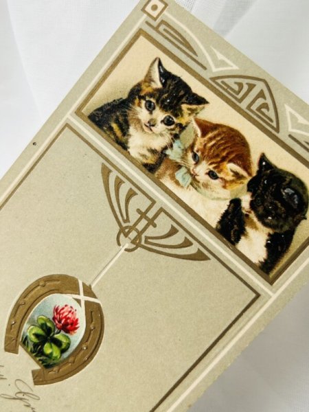画像2: Postcard   アンティークポストカード 3匹の猫と馬蹄 アカツメクサ Helena Maguire  (2)
