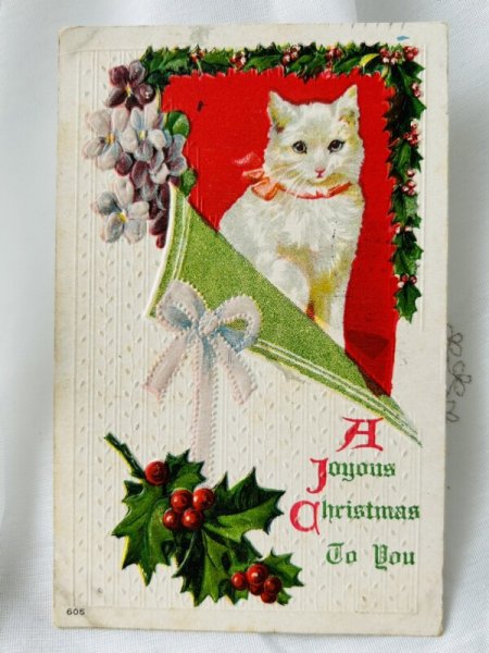 画像1: Postcard  　アンティークポストカード　クリスマス　白猫さん　Clapsaddle / Maguire (1)