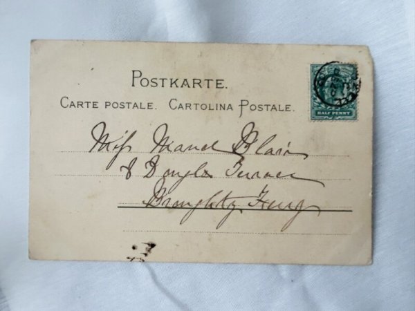 画像3: Postcard   アンティークポストカード 農作業中の子猫たち Helena Maguire  (3)