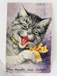 画像1: Postcard　アンティークポストカード　笑う猫　You make me laugh  Arthur Thiele　1909年 (1)