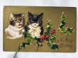 画像1: Postcard  　アンティークポストカード　クリスマス　2匹の猫たち　Helena Maguire　（未使用） (1)