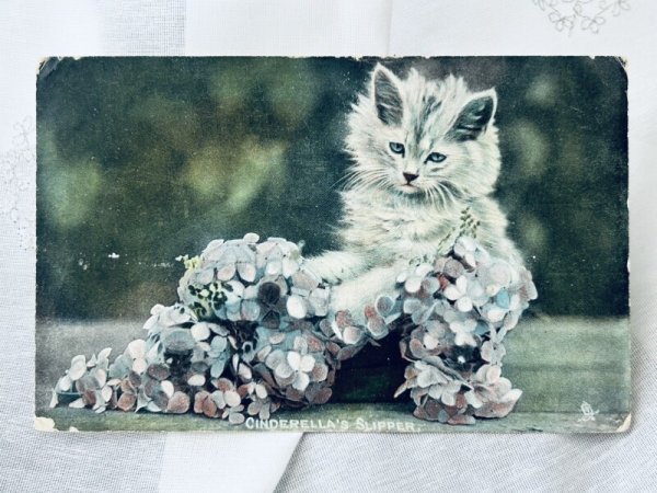 画像1: Postcard　アンティークポストカード　靴の中の子猫　イギリス1907年 (1)