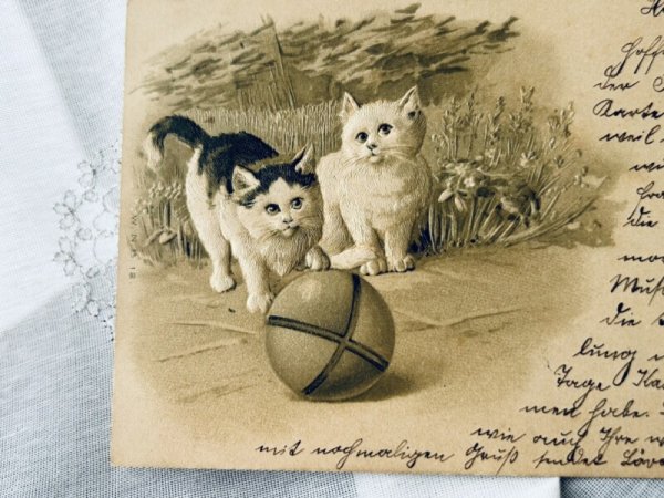 画像2: Postcard アンティークポストカード ボールと猫たち (2)