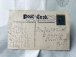画像3: Postcard　アンティークポストカード　この場所は僕の家には向いてない　ごみ置き場の黒猫　1908年 (3)