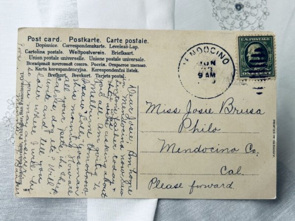 画像2: Postcard　アンティークポストカード　破れた帽子から顔を出した猫 (2)