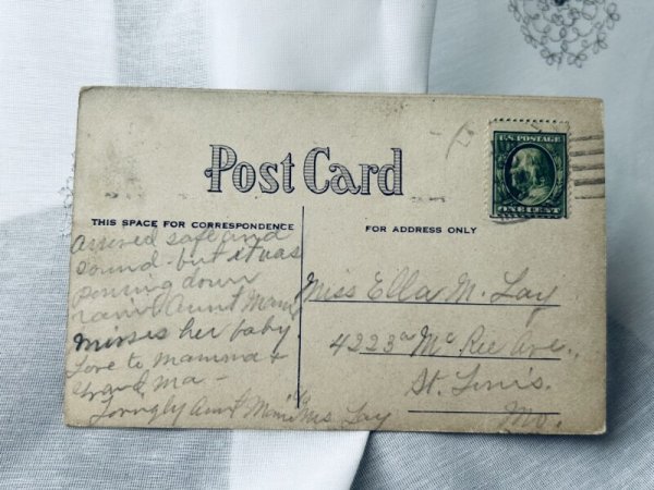 画像2: Postcard　アンティークポストカード　猫の写真を撮る犬　 (2)