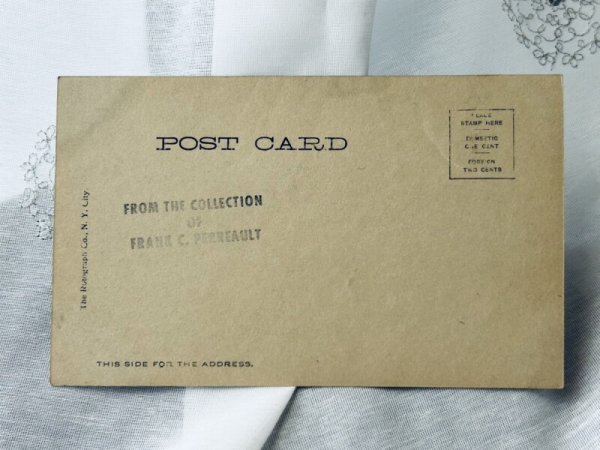 画像2: Postcard アンティークポストカード 写真 亀と猫 イギリス (2)