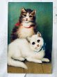 画像1: Postcard　アンティークポストカード　2匹の猫　（未使用） (1)