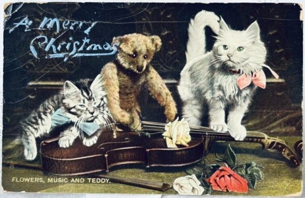 画像1: Postcard　アンティークポストカード　テディベアと猫とバイオリン　イギリス1912年 (1)