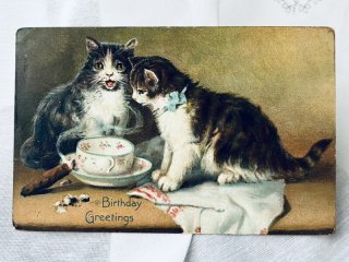 Snowdrop Postcards アンティークポストカード専門店 【猫 イラスト】
