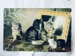 画像1: Postcard　アンティークポストカード　化粧台の上の子猫たち　アメリカ1909年 (1)