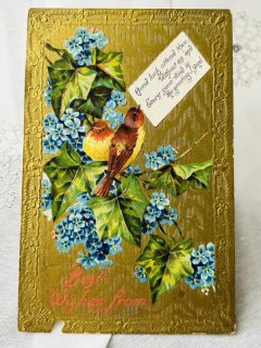 Snowdrop Postcards アンティークポストカード専門店 < Swallow