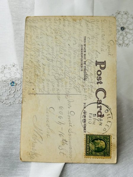 画像2: Postcard   アンティークポストカード キレンジャク 鳥 1910年 (2)