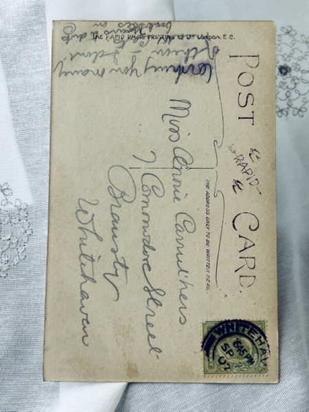 画像2: Postcard アンティークポストカード 写真 長毛の猫さん ペルシャ猫 イギリス1907年 (2)