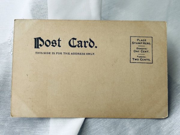 画像2: Postcard アンティークポストカード 怪我をして泣いている猫 今夜は会いに行けないよ (未使用) (2)