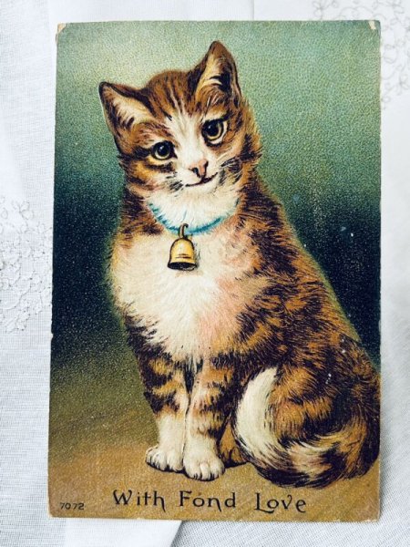 画像1: Postcard　アンティークポストカード　猫　アメリカ1910年 (1)