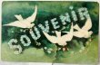 画像1: Postcard  　アンティークポストカード　SOUVENIA　3羽の白鳩　Ellen Clapsaddle (1)
