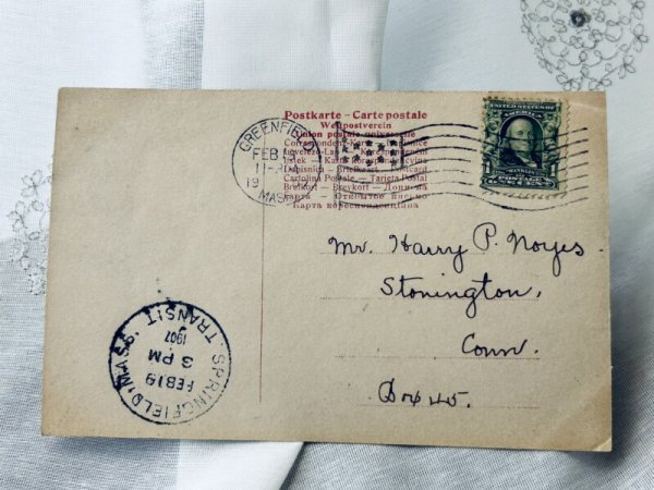 画像2: Postcard アンティークポストカード 写真 3匹の子猫 アメリカ1907年 (2)